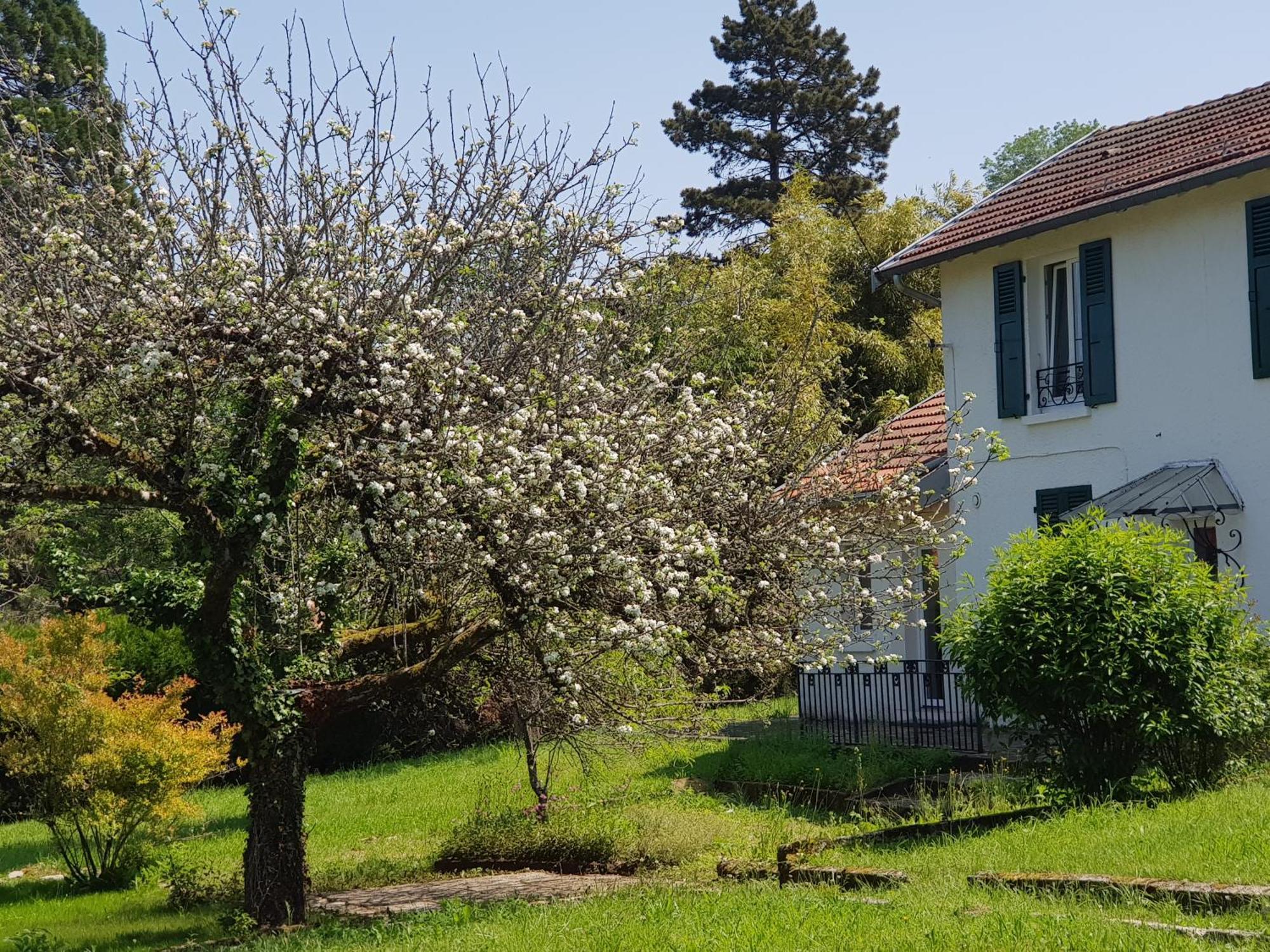 Apartamento La Petite Sommiere Besanzón Exterior foto